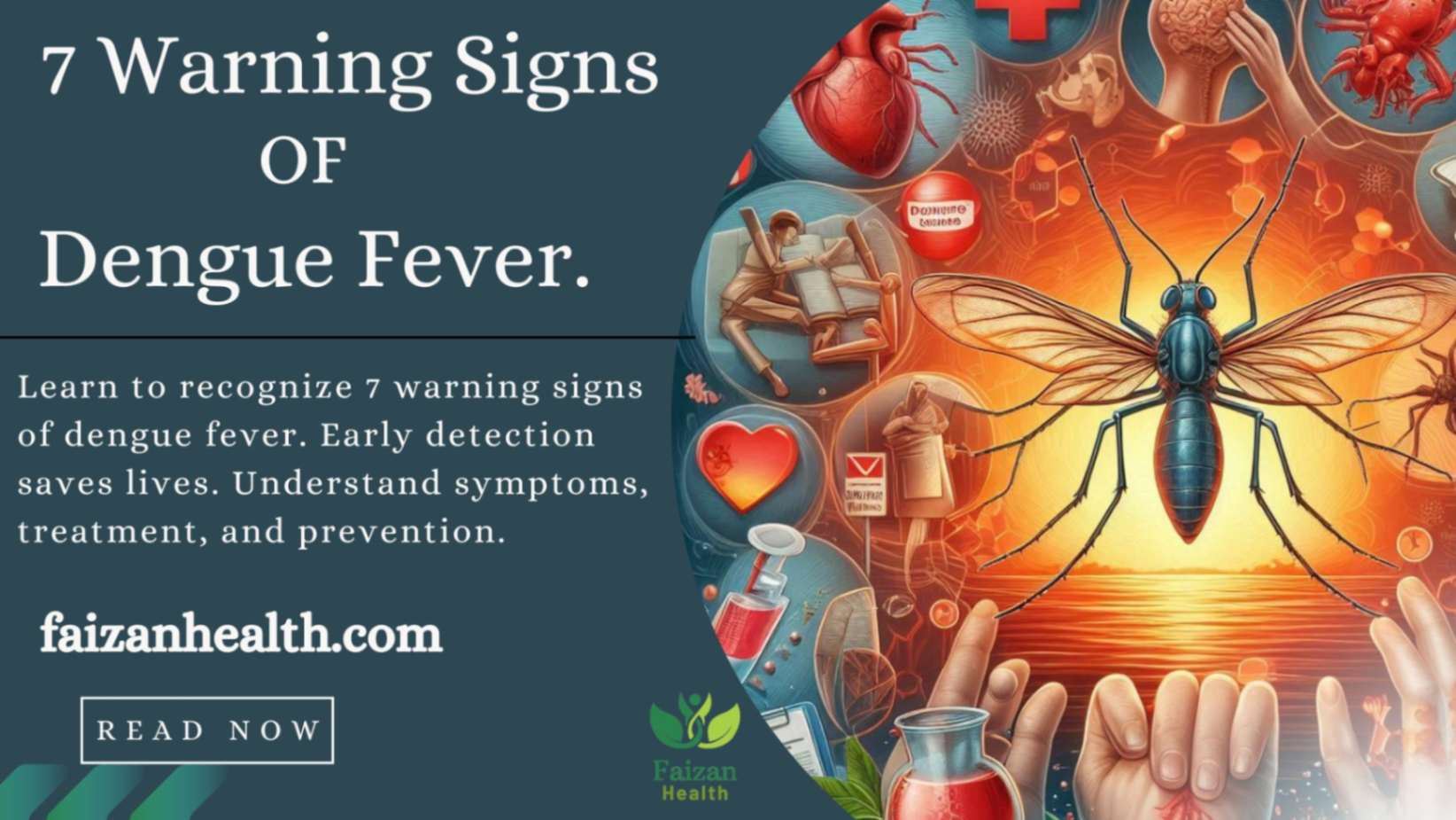 7 warning signs of dengue fever.